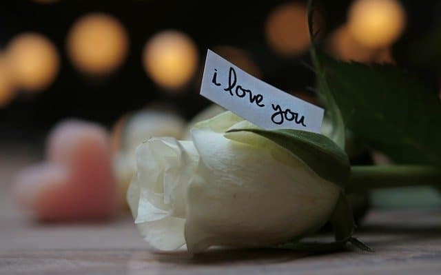 Photo d'une rose avec le message i love you